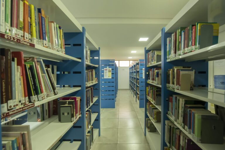 Corredor entre estantes azuis com livros do acervo geral